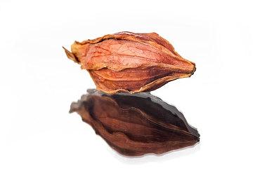 CDPR新作《Hadar》设计师：开发原创新IP很有意义